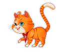 Filli cat